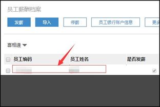 金蝶软件银行账号怎么添加(金蝶kis专业版里面怎么新增一个银行账号)